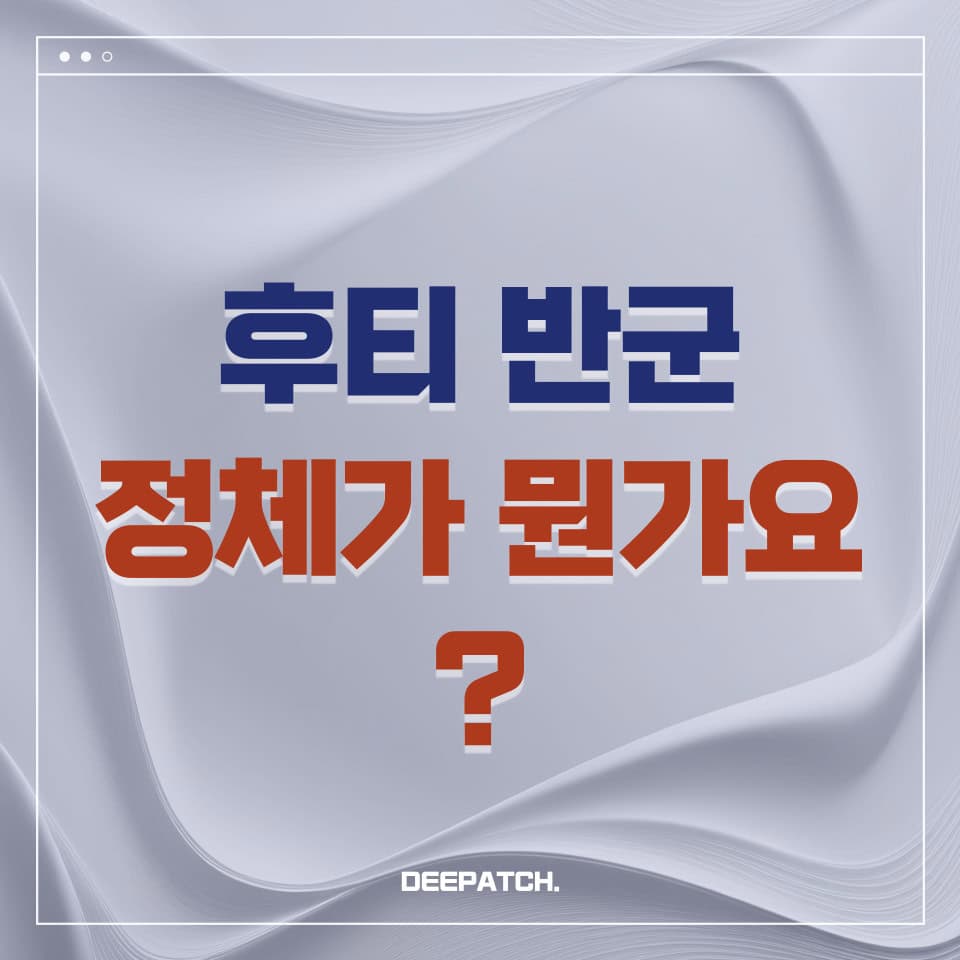 후티반군정체가뭔가요